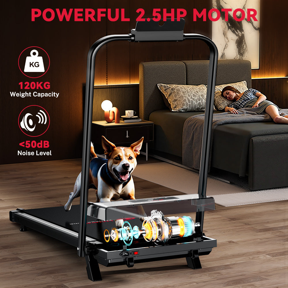 Passadeira C1, 1-10 km/h Velocidade, 5% Inclinação Manual